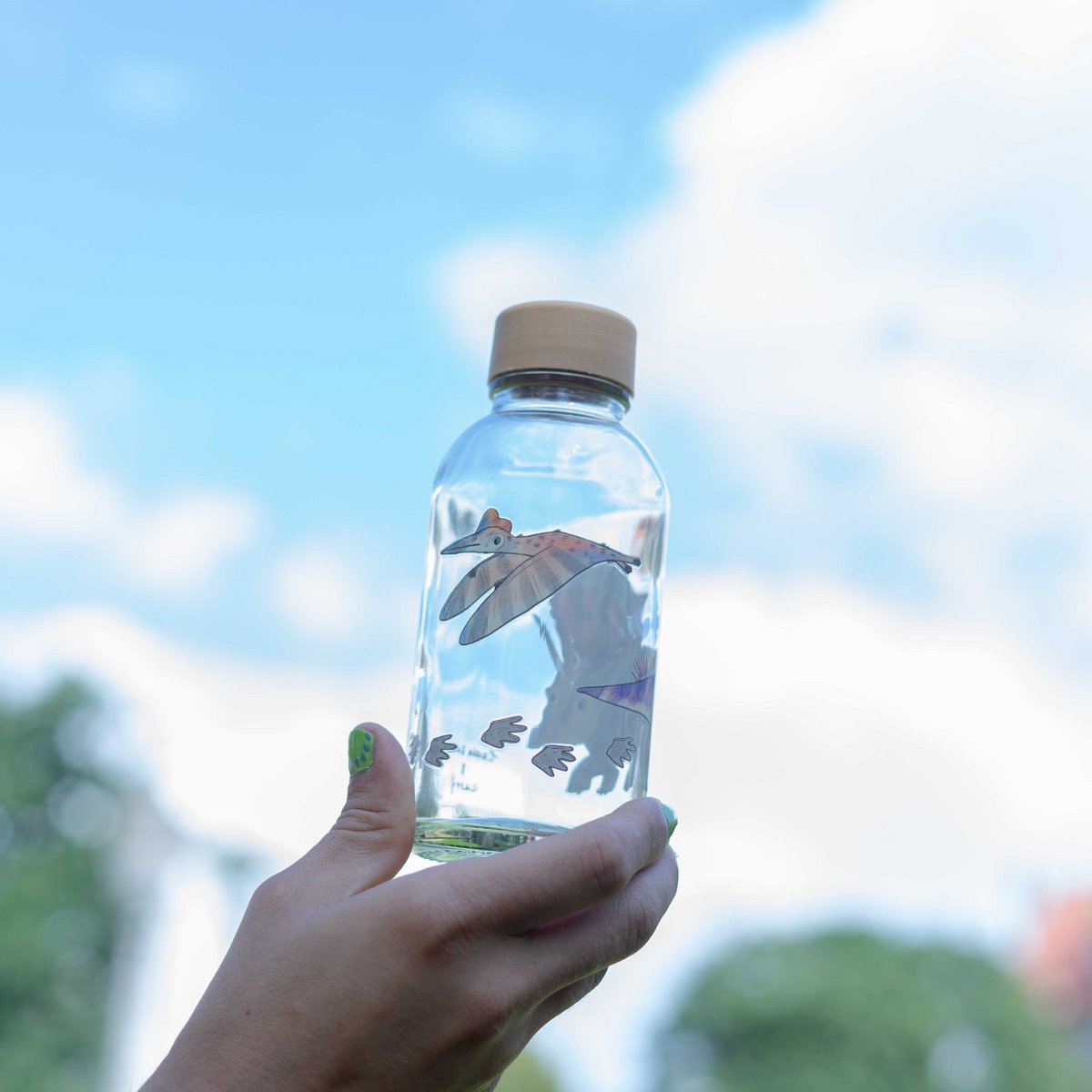 CARRY Glasflasche – Little Dino 0,4 L