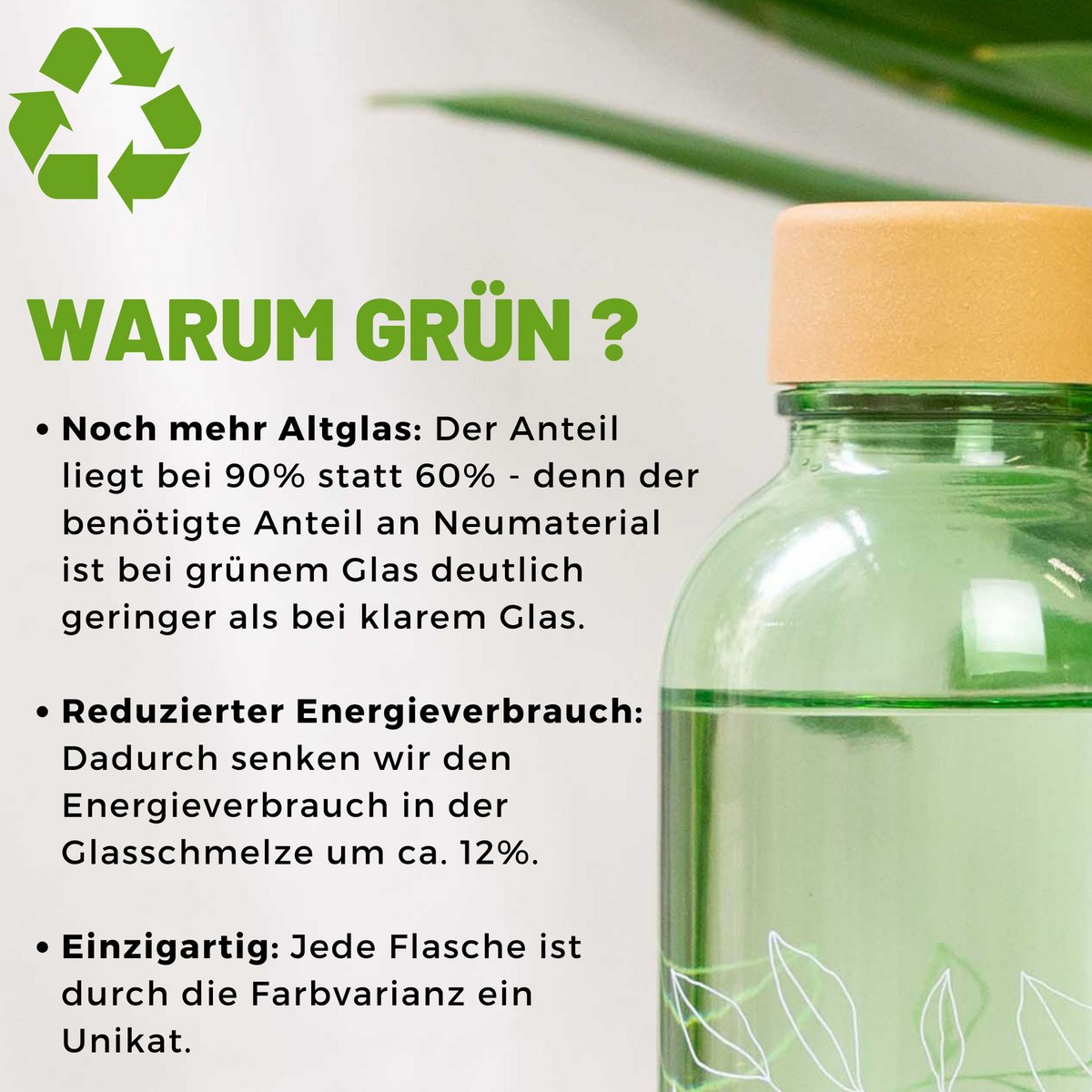 CARRY Glasflasche – Green Harmony 0,7 L