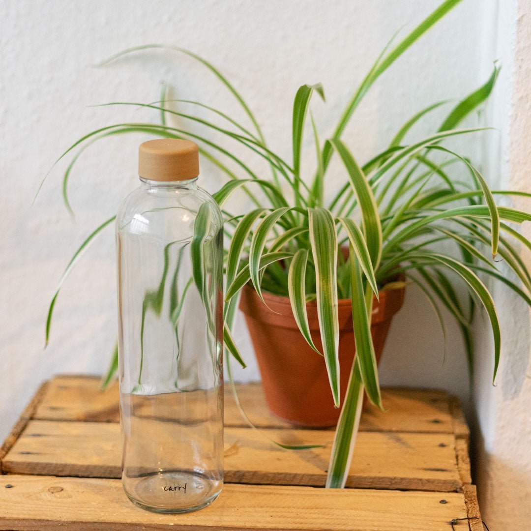CARRY Glasflasche – Pure 0,7 L & 1,0 L