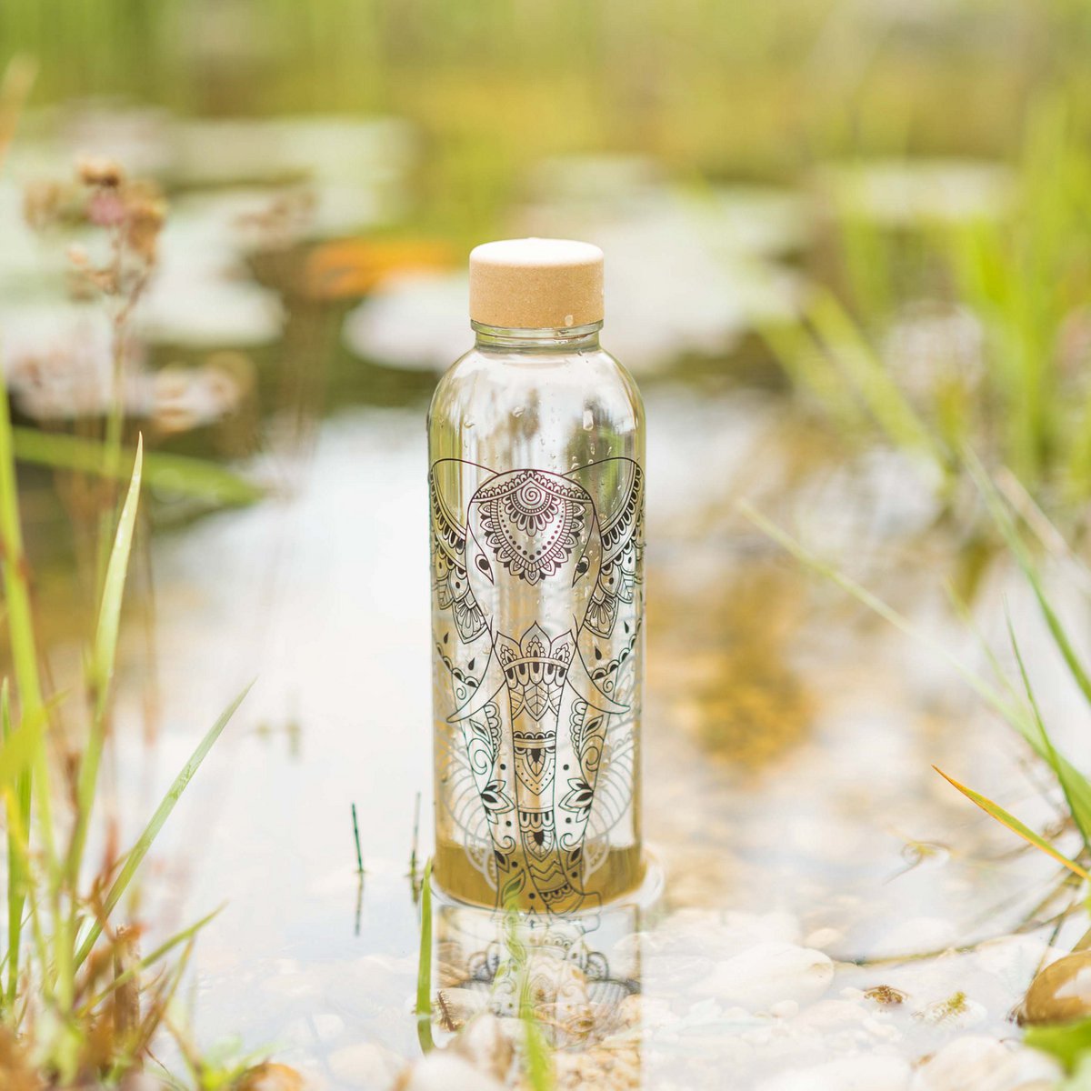 CARRY Glasflasche – Elephant 0,7 L